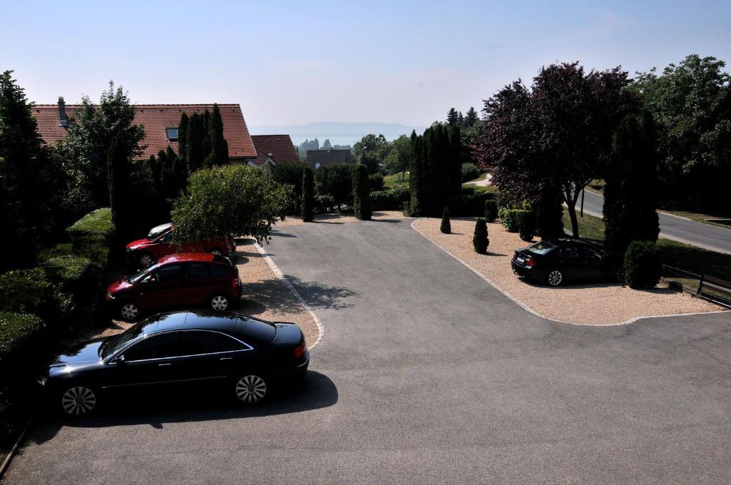 Adler & Wellness 3*